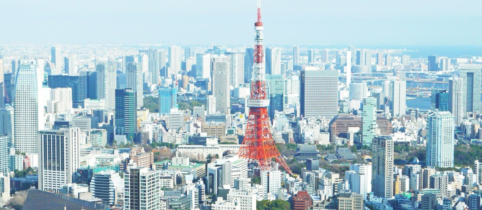 Tokyo cityscape at dusk
