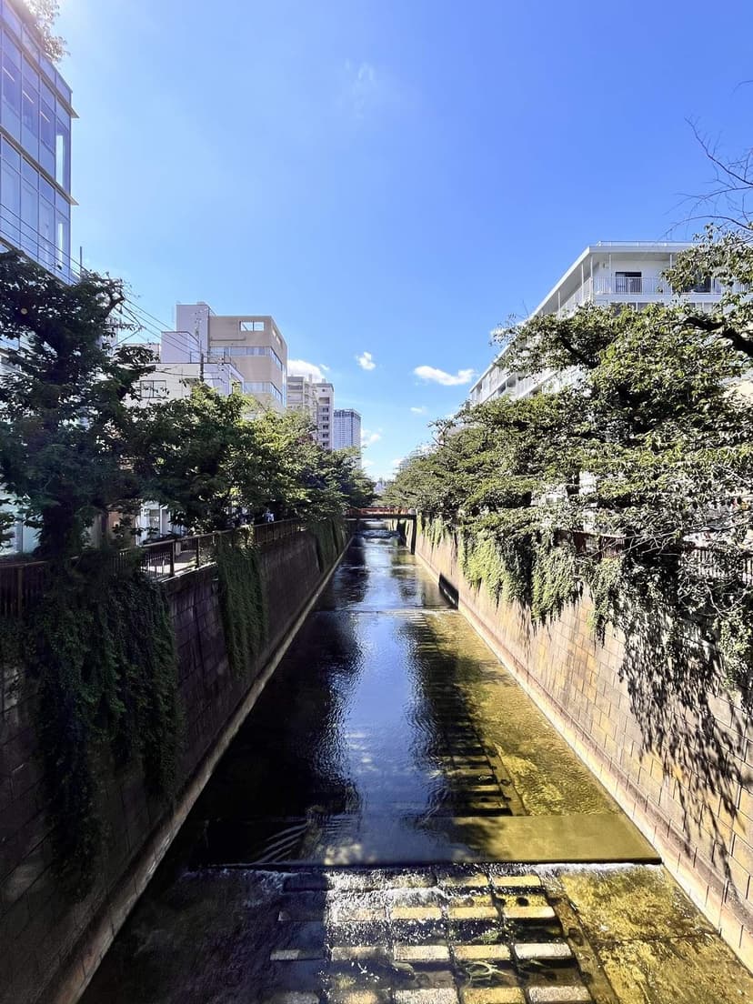 The Meguro River right beside the cafe