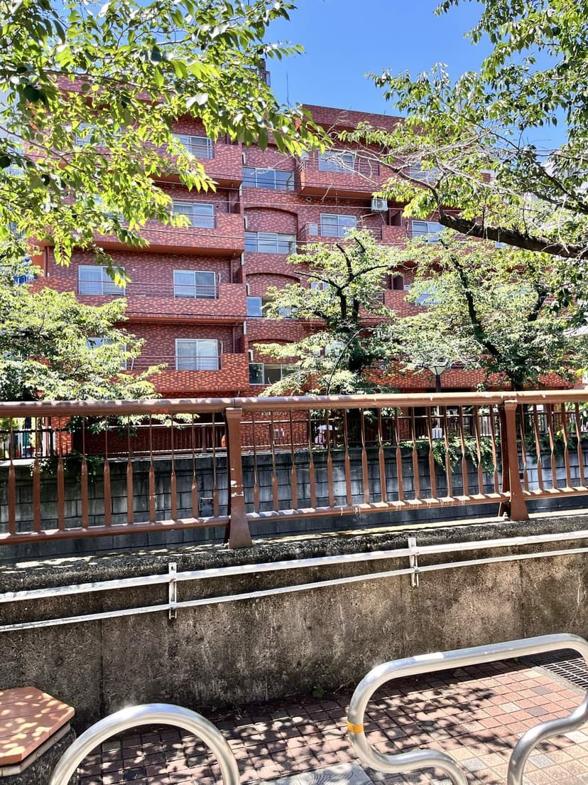 The riverside path in front of the cafe
