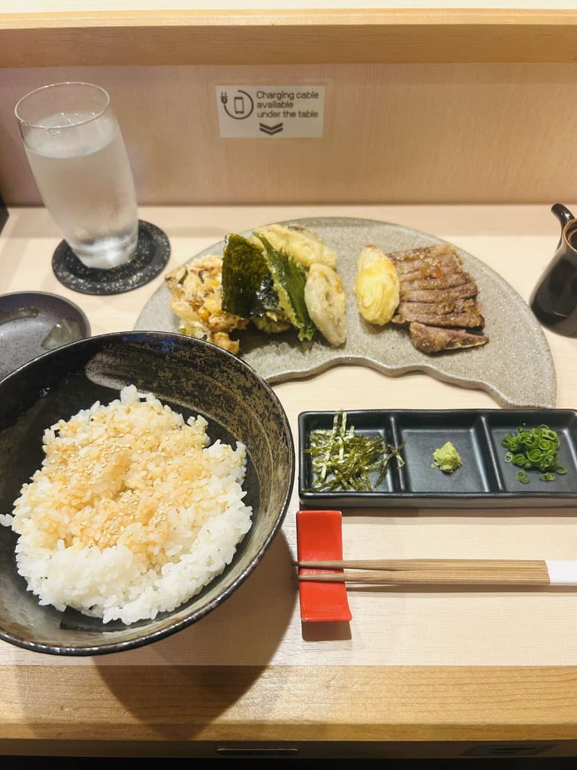 The wagyu tendon set, with rice and condiments